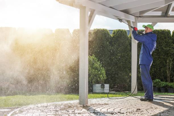 Best House Exterior Washing  in Warroad, MN