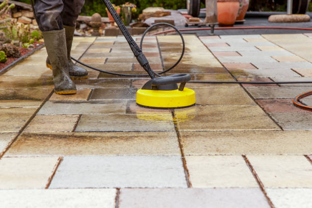 Boat and Dock Cleaning in Warroad, MN